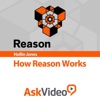 Course For How Reason Works