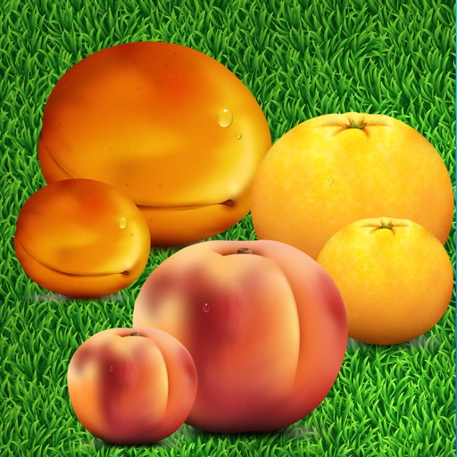 Fruity Fuit Dash Fall Classic Edition Icon