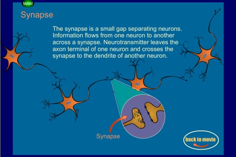 NeuroVids screenshot 3