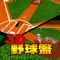 It is a baseball board game traditional Japan