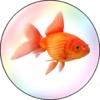 FISHY BUBBLE