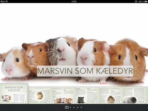 skærmbillede 1