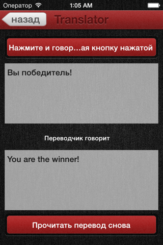 i Translator with speech recognition screenshot 2