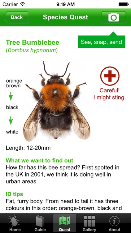 OPAL Bugs Count Pocket ID Guide screenshot-3