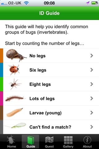 OPAL Bugs Count Pocket ID Guide screenshot 2