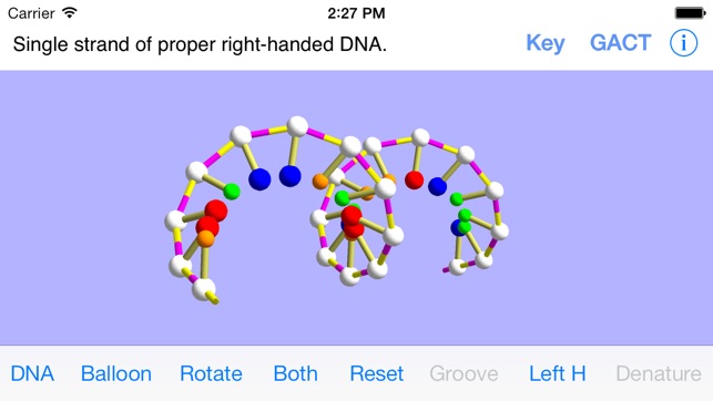 OnScreen DNA Model for iPhone(圖3)-速報App