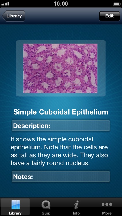 Histology - A reference guide for Pathology, Biology, Pharmacology students