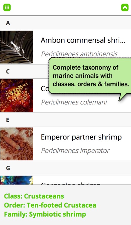 FischFinder – Wordwide Fish ID, Fish Guide and Reef Guide screenshot-3