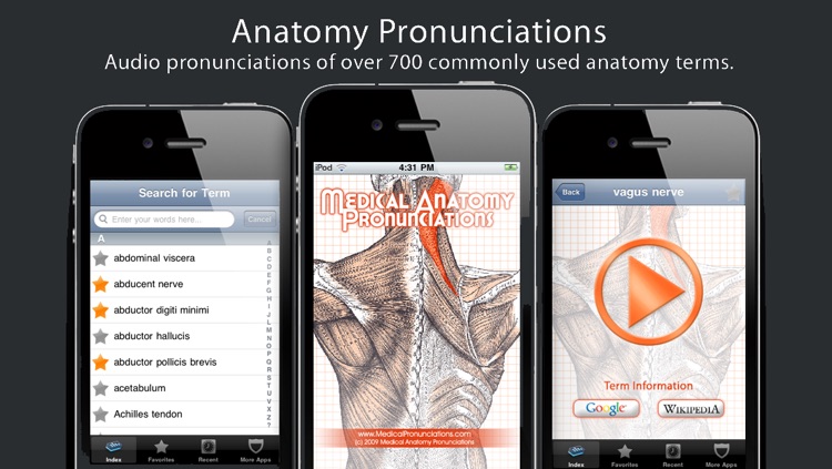 Anatomy Pronunciations