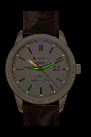 Rosmarin111 GMT & Minutes repeater watch screenshot 2