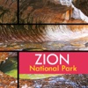 Zion National Park Tourism Guide