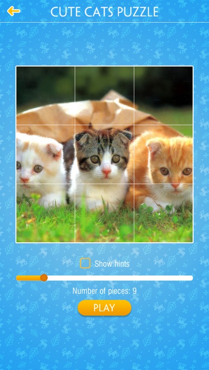 Cute Cats Jigsaw Puzzles