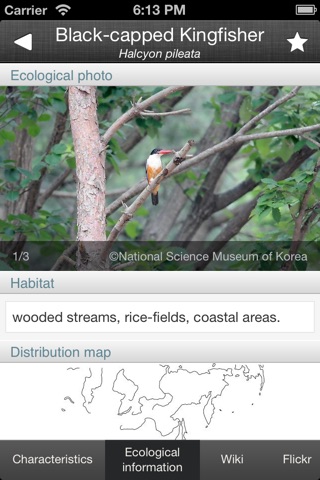 Birds of Korea Lite screenshot 3