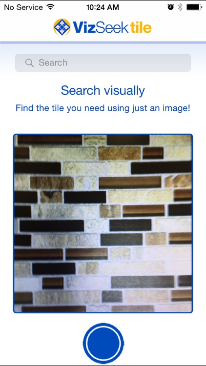 VizSeek Tile