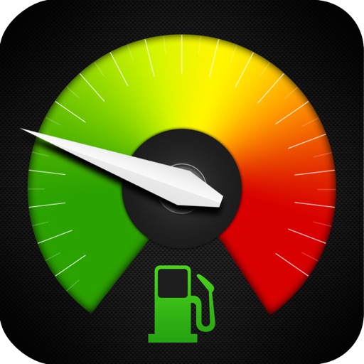 Drive Style - Eco meter icon