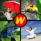 A Word to Guess - Popular Photo Puzzle Quiz With Pics & Words