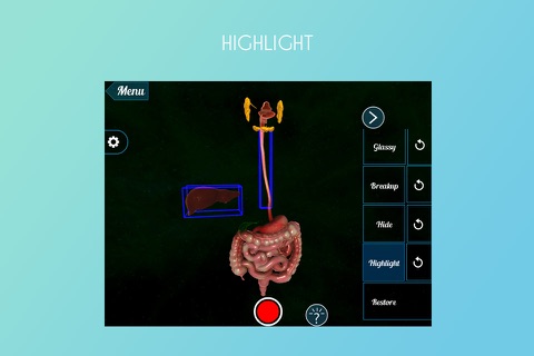 VR Human Digestive System screenshot 4