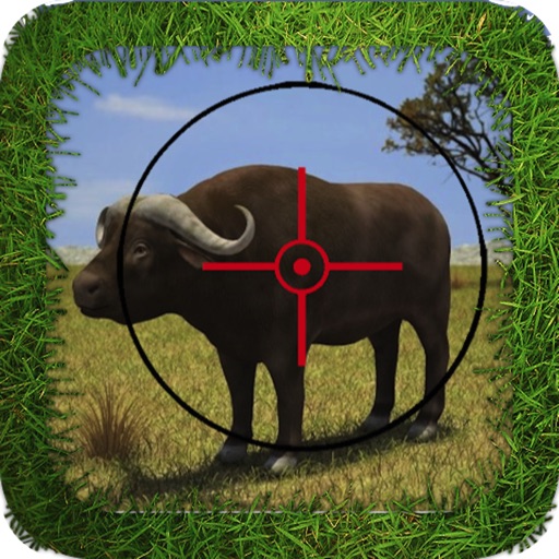 Dangerous Buffalo Hunting iOS App