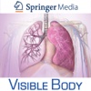 Respiratory Anatomy for Springer (Ademhalingsanatomie voor Springer)