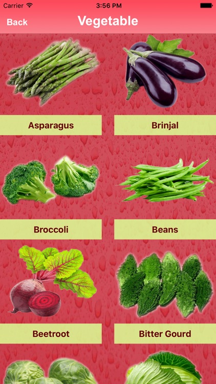 Fruits&Veggies screenshot-3