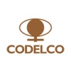 Expo Codelco