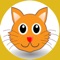 Catch me if you can ? Tom Cat - Circle this cat game for all ages