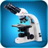 Histology - A reference guide for Pathology, Biology, Pharmacology students