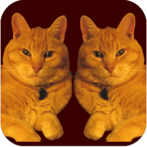 Kitty Match iOS App