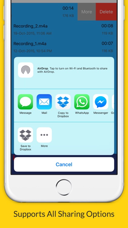 Voice Recorder: Premium Edition (Perfect For Recording Meetings, Lectures, Interviews etc.)
