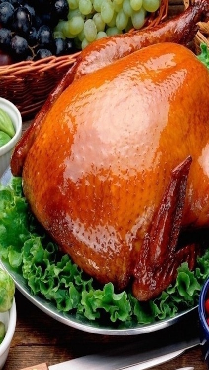 Christmas Food Cooking: Delicious Bake Turkey - Awesome Realistic Cook For Girl & Boy Free