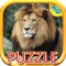 Lions and Big Cats - Puzzle Slide