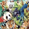 Animals HD Pro