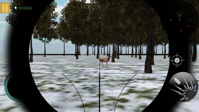 Stag Hunting In Jungle 1