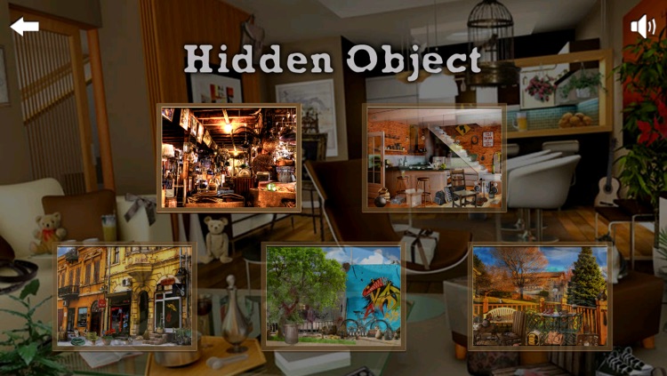 Hidden Objects ++ screenshot-3