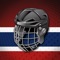 "The most complete app for Montreal Hockey Fans