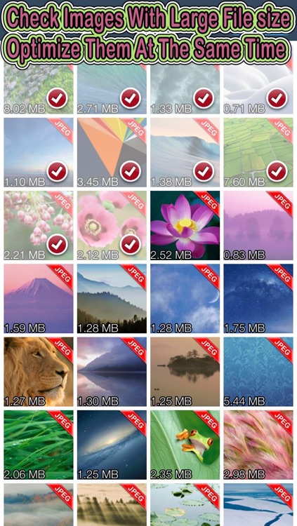 Shrink My Pictures - Reduce Image Size Without Resizing