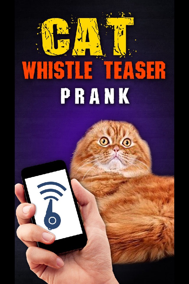 Cat Whistle Teaser Prank screenshot 3