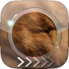 BlurLock – Animal Skins : Blur Lock Screen Photo Maker Wallpapers For Pro