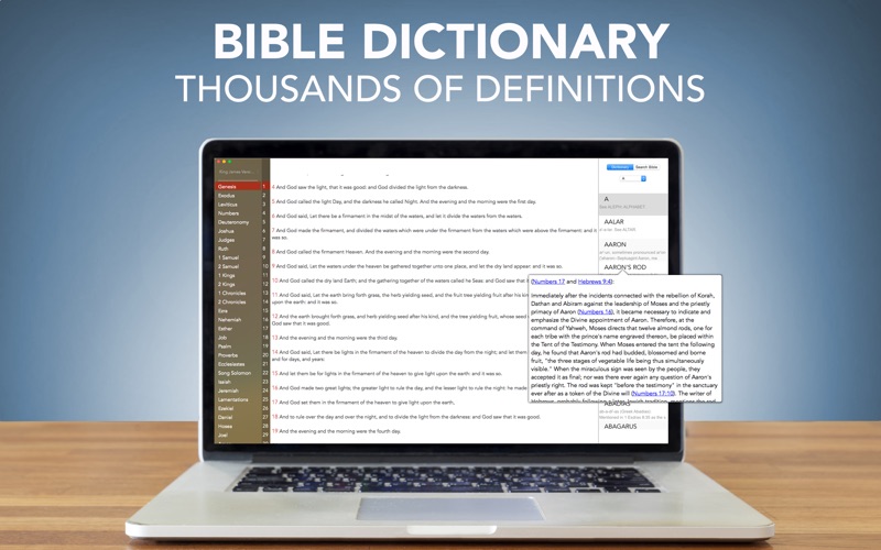 Bible Dictionary with Bible Study and Commentaries for KJV thumbnail 1