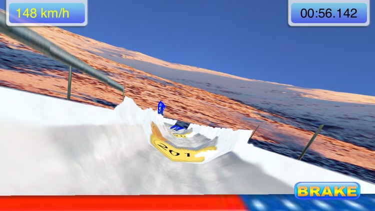 World Winter Games 2010 screenshot-3