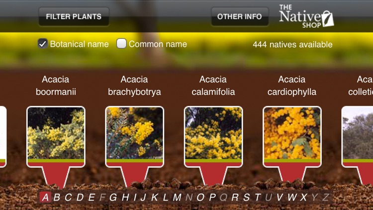 Native Plant Guide