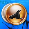 A Pirates' Treasure: Coin Collection Free