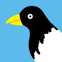 Draw Your Stories sur PC