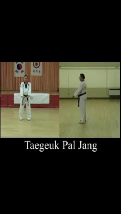 Taekwondo Pattern 8