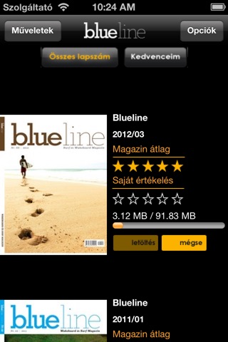 Blueline screenshot 2