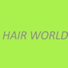 THE HAIR WORLD