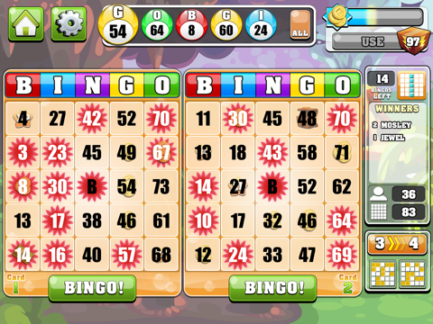 Bingo Casino HD™ screenshot 3