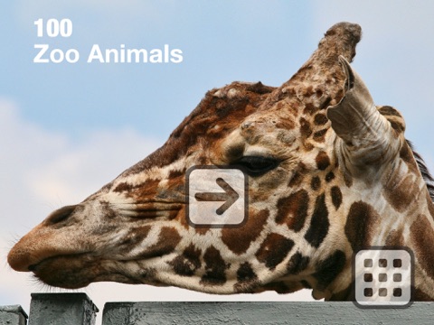 Скриншот из 100 Things: Zoo Animals - Video & Picture Book for Toddlers