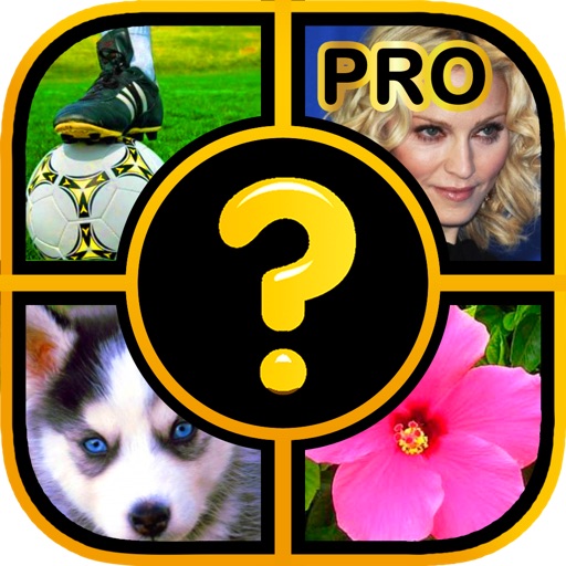 Guess a Word PRO! icon