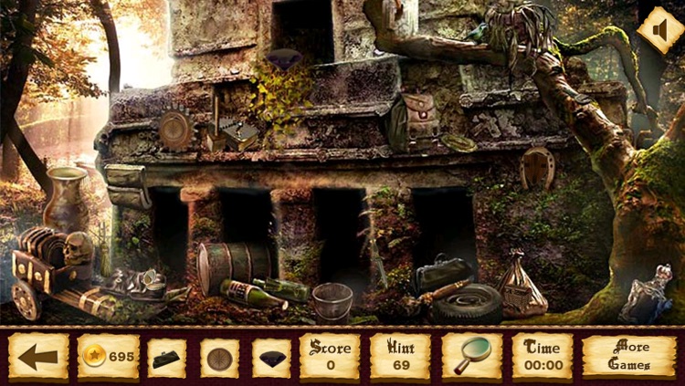 Amazon Mystery Hidden Objects screenshot-3